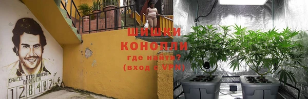 спиды Дедовск