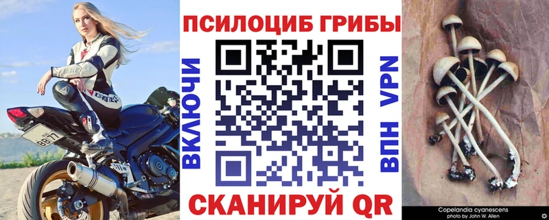 Псилоцибиновые грибы мухоморы  Каневская 